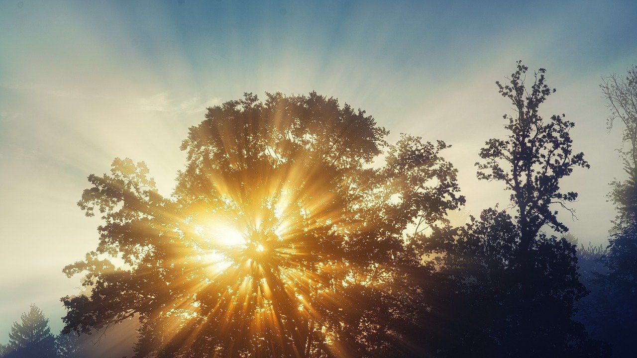 Какво време ни очаква днес