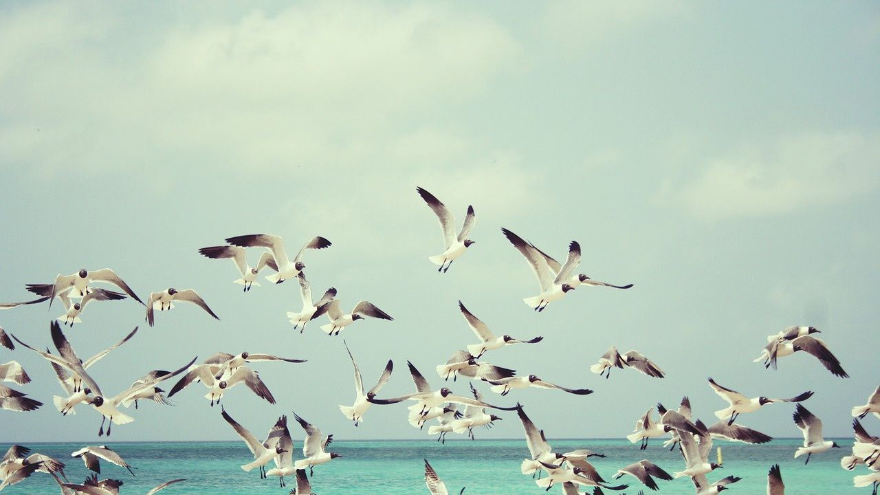 Прогноза за времето