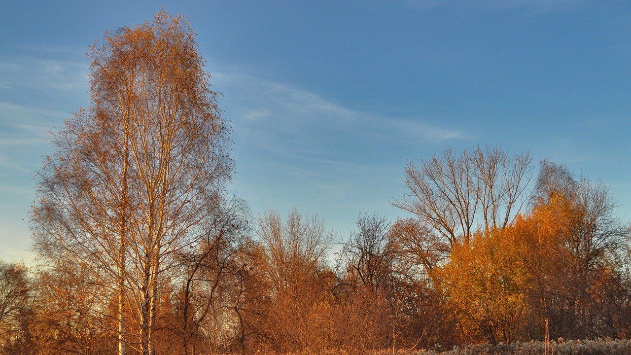 Ветровит четвъртък