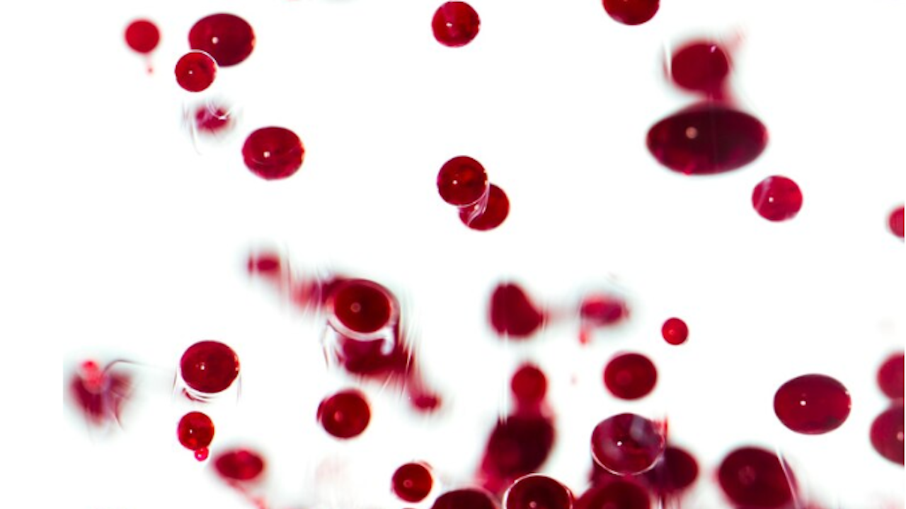 100 километра вени и 100 милиона клетки: проектът Human Cell Atlas съставя карта на човешкото тяло