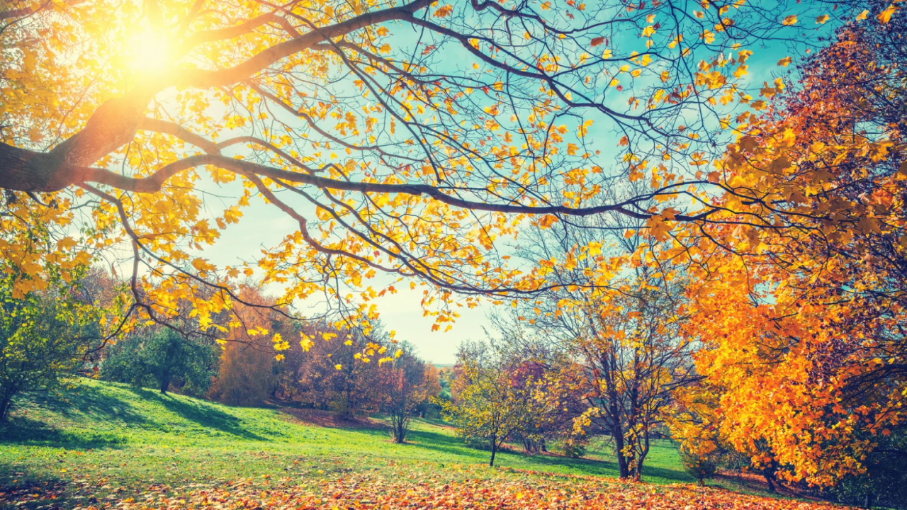 Рачев: От събота започва повишение на температурите