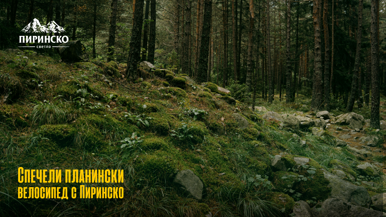 Уикенд прогноза за времето