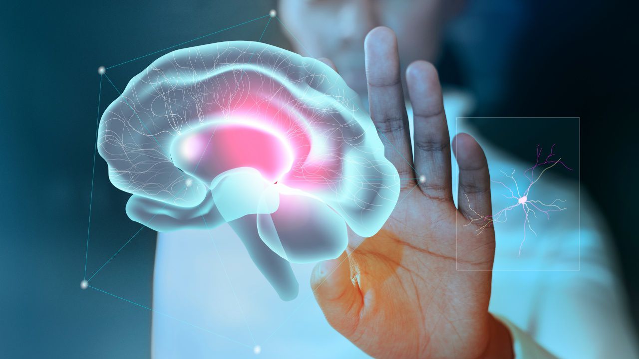 Китайски учени картографираха генетичния план на свързаността на човешката мозъчна кора