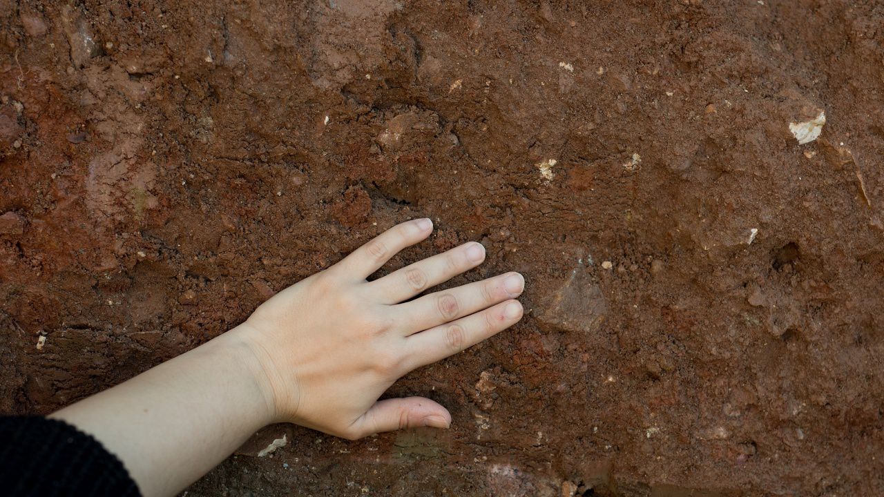 Бронзов Дионис с пантера изскочи при разкопки край Скутаре