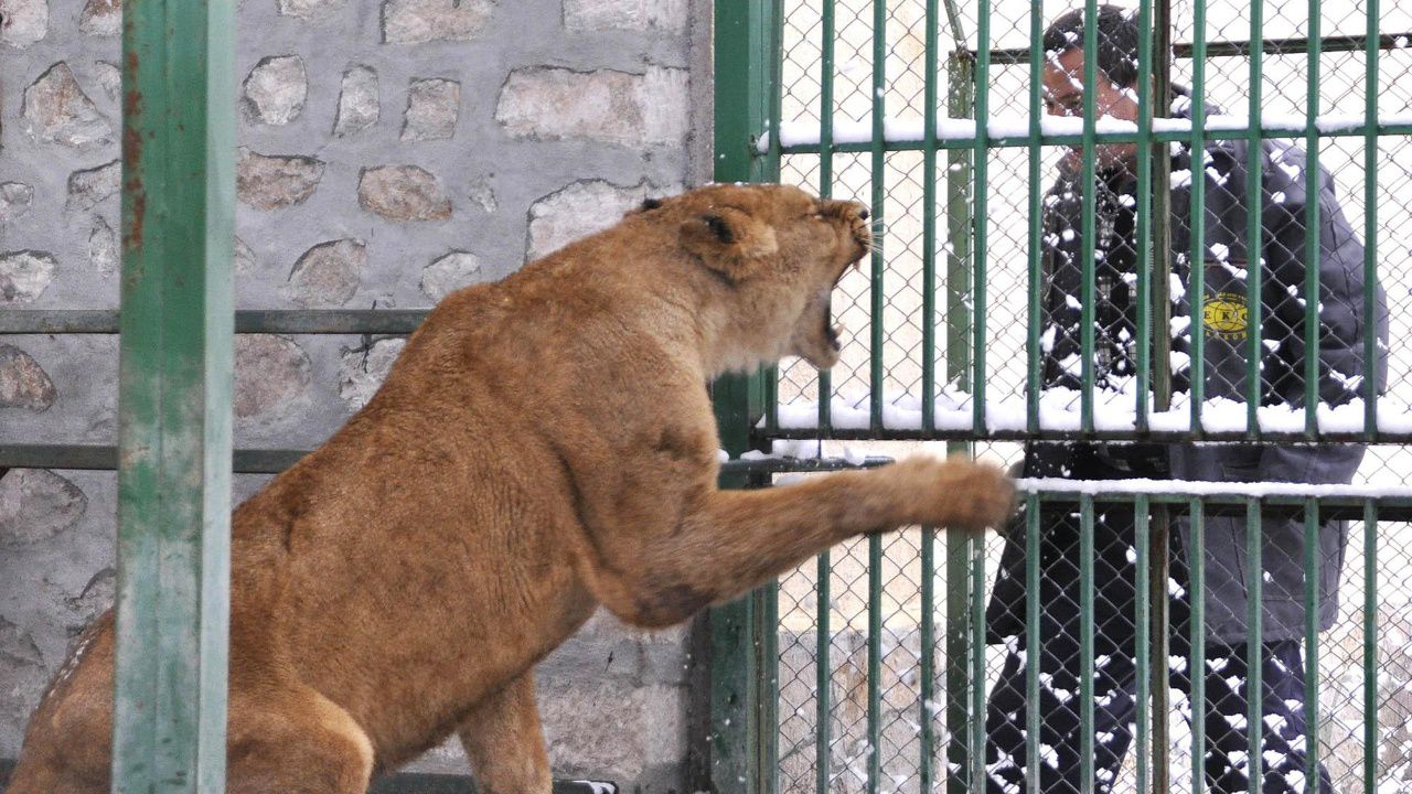 Билетът за Зоологическата градина в София ще има нова цена от февруари