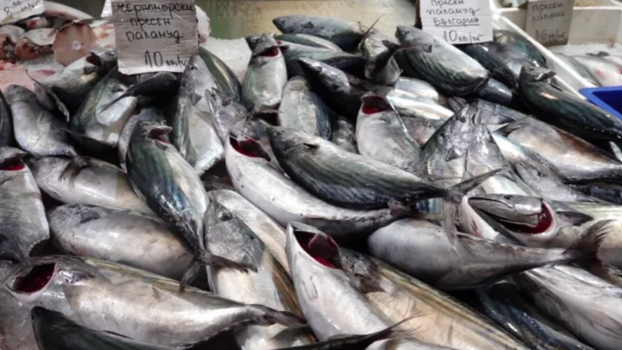 Какви са цените на рибата? Най-скъпи остават леферът и морската лисица
