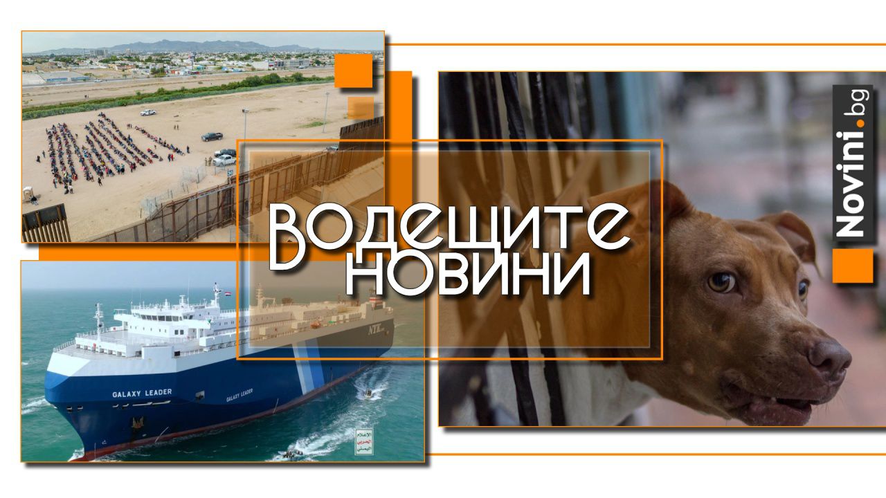 Водещите новини! Хутите освободиха българите от кораба „Галакси Лийдър“. Мъж от Русе е осъден на лишаване от свобода за жестокост към кучето си (и още…)