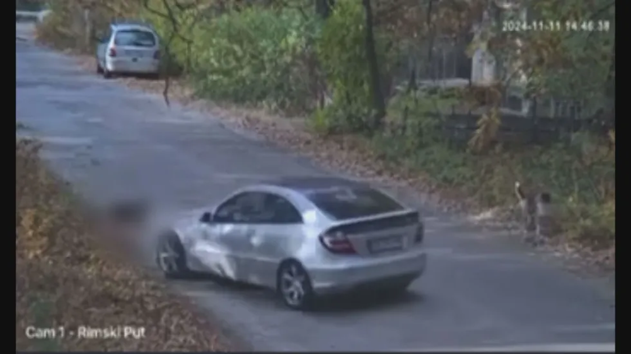 Мъж прегази умишлено домашно куче с колата си: Свидетел разказва