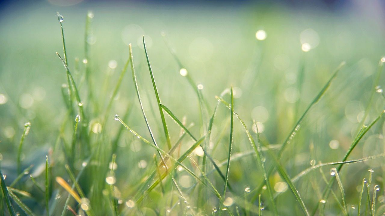 До обяд слънце, а след това идва дъжд