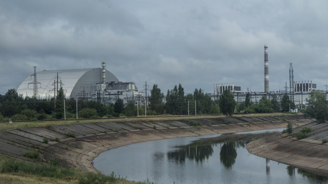 Откриха мутирали черни жаби, оцелели в зоната около АЕЦ „Чернобил“