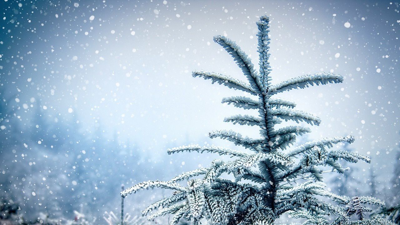 Оранжев и жълт код за обилни валежи от дъжд и сняг