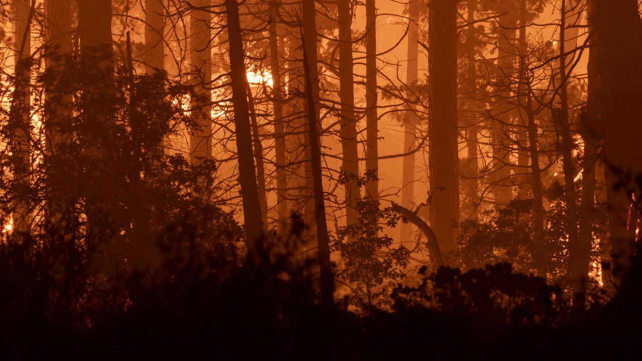 В община Любимец обявиха бедствено положение заради заради пожар в село Дъбовец