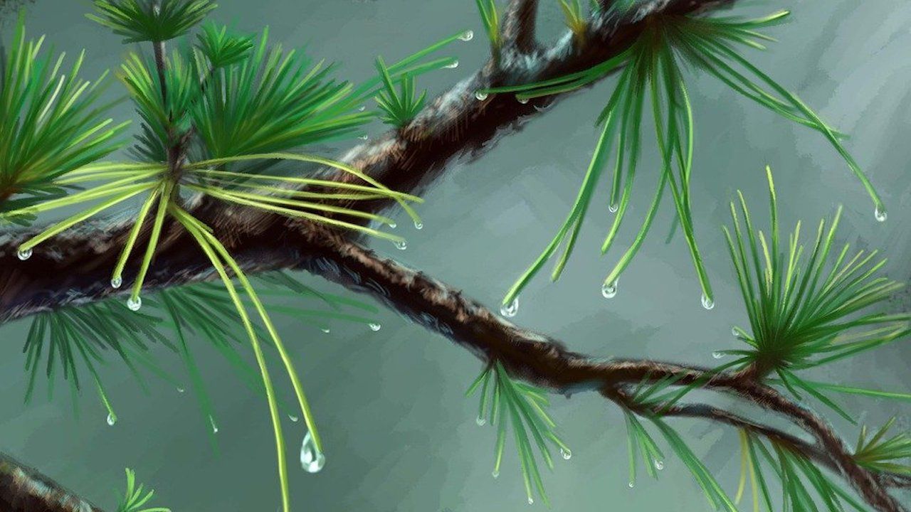 Ето какво време ни очаква днес