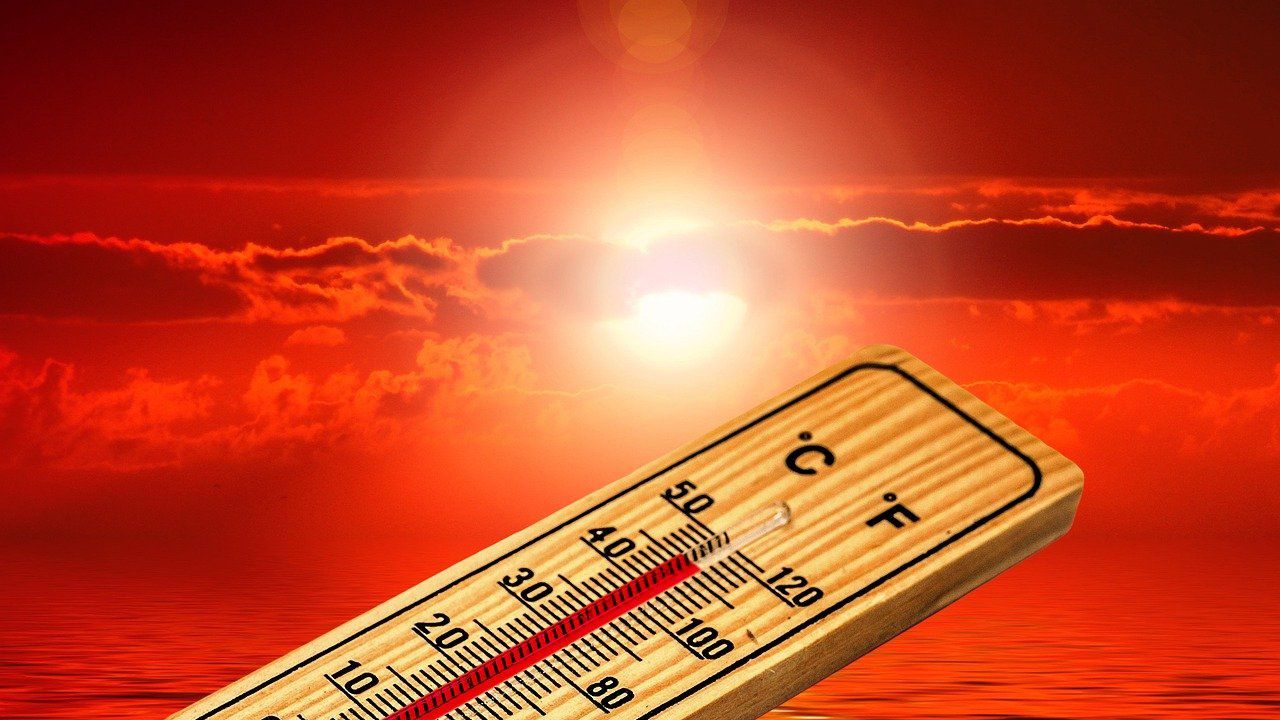 Рекордните за годината 40,3°C, отчетоха в Монтана