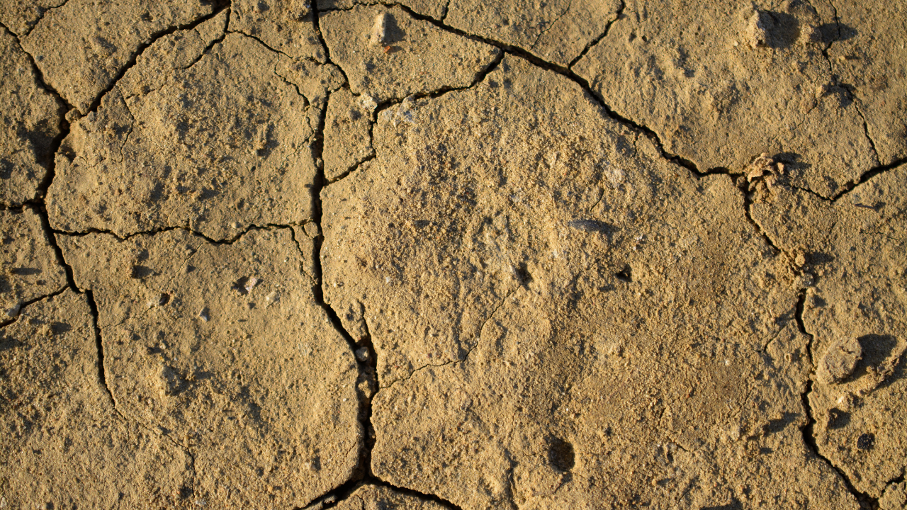Дебитът на Марица и Тунджа в Одрин продължава да пада