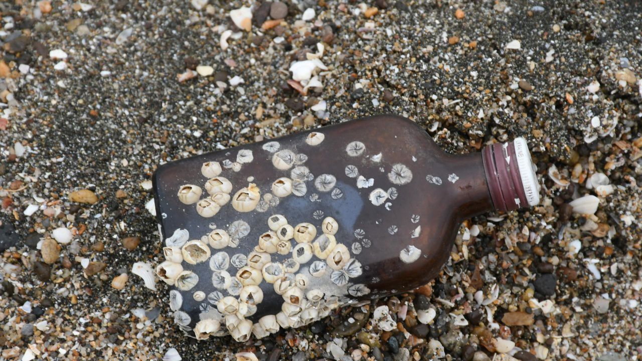 Морето изхвърли бутилка украинска водка с раковини