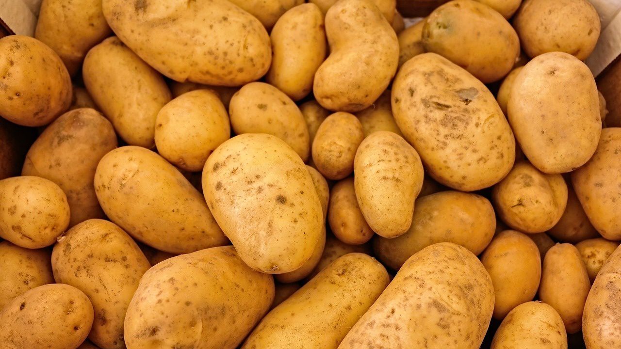 Ще ядем български картофи само до Нова година