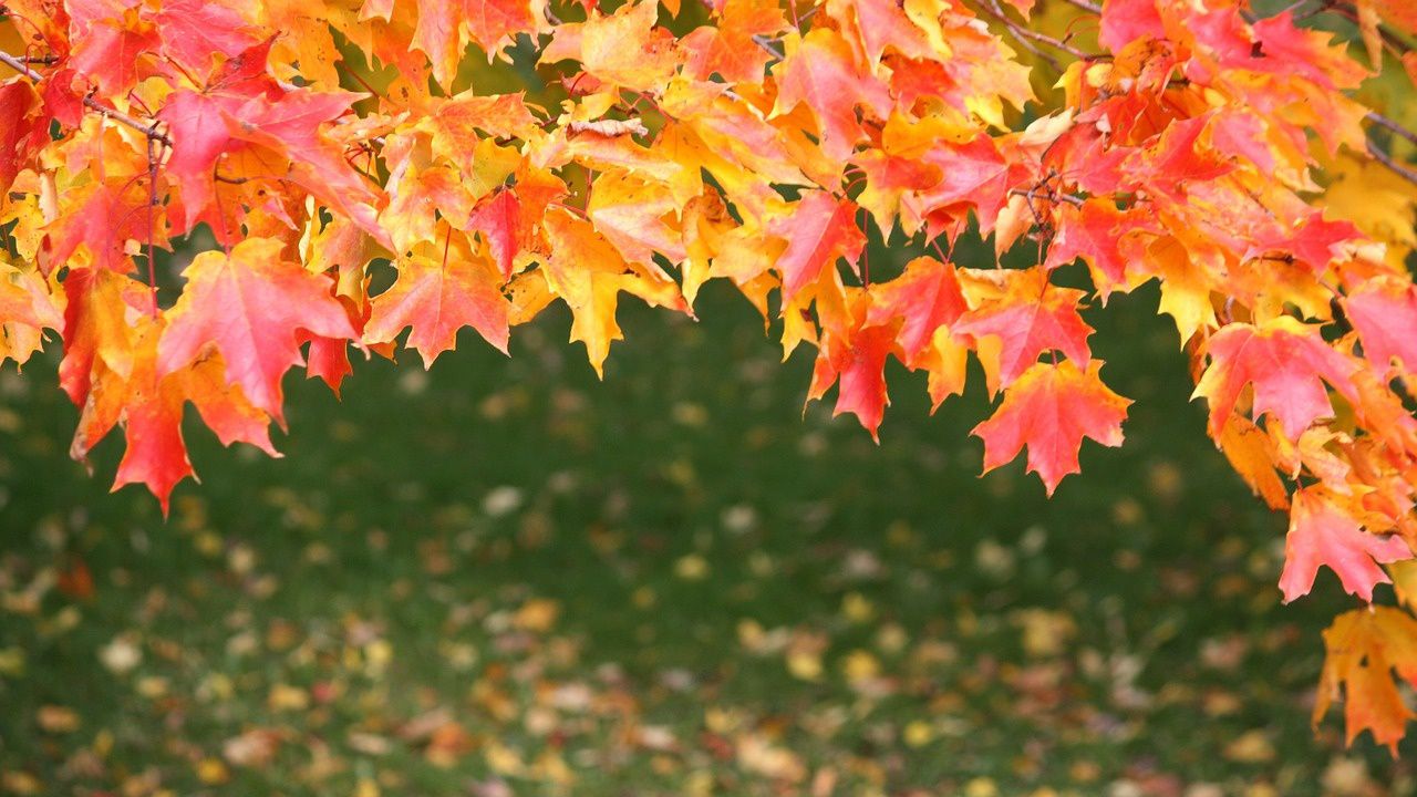 Месечна прогноза за септември: Идват студ, дъжд и сняг, но и жега