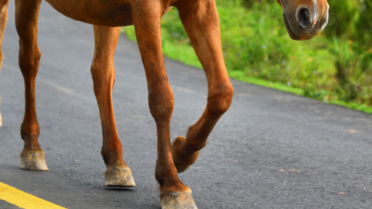 Районен съд - Дупница потвърди наказателно постановление, издадено от Областната