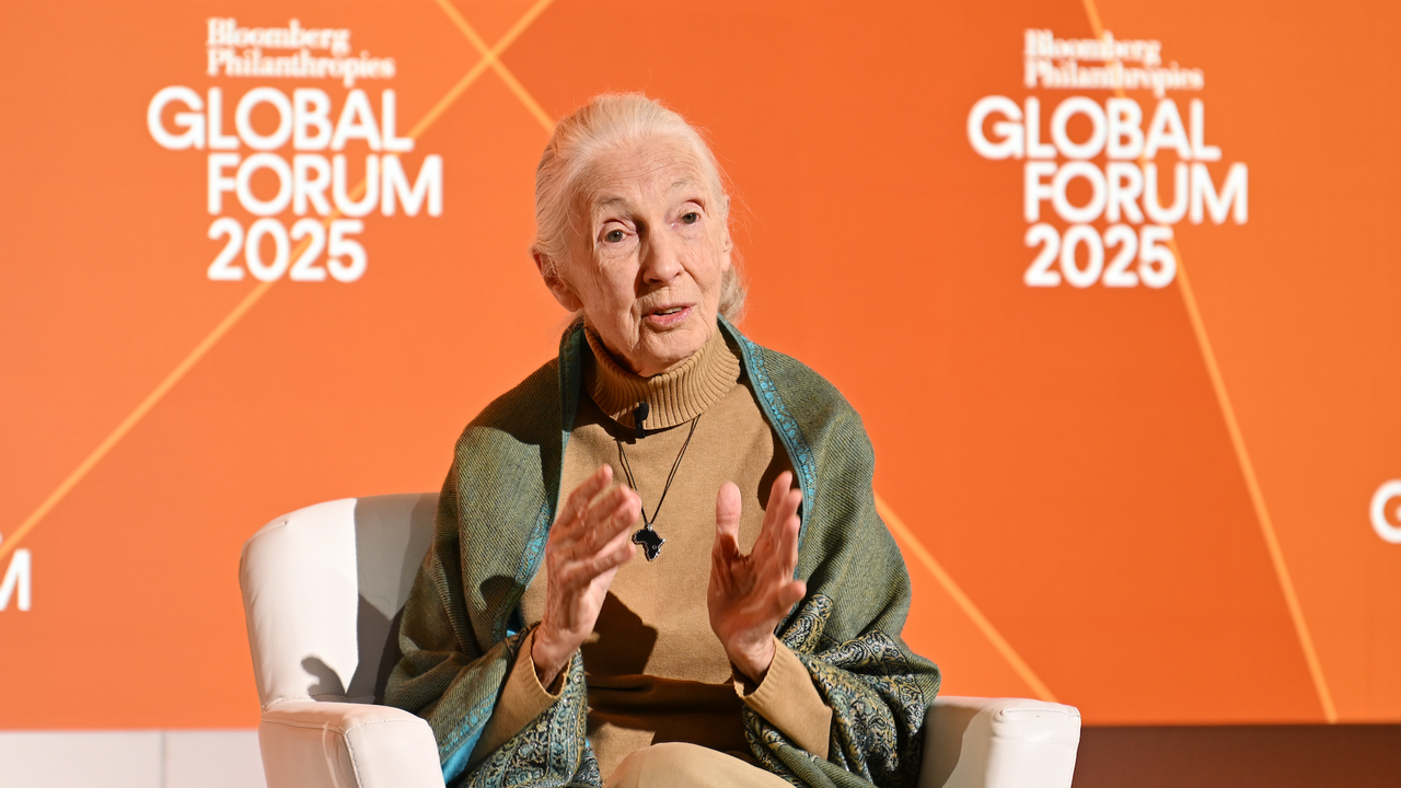 На 91 години почина британската природозащитничка и експерт по шимпанзетата Джейн Гудол