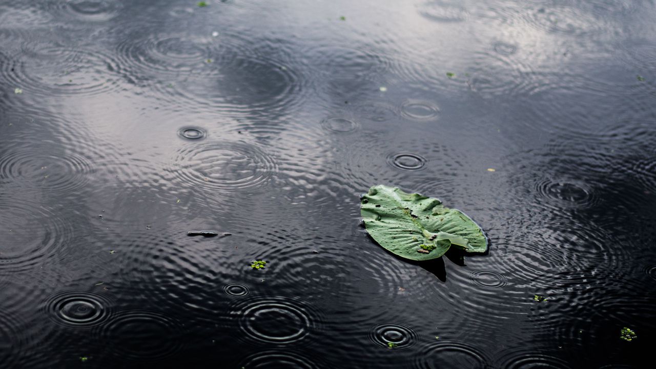 Синоптици: Идват дъжд и сняг до часове