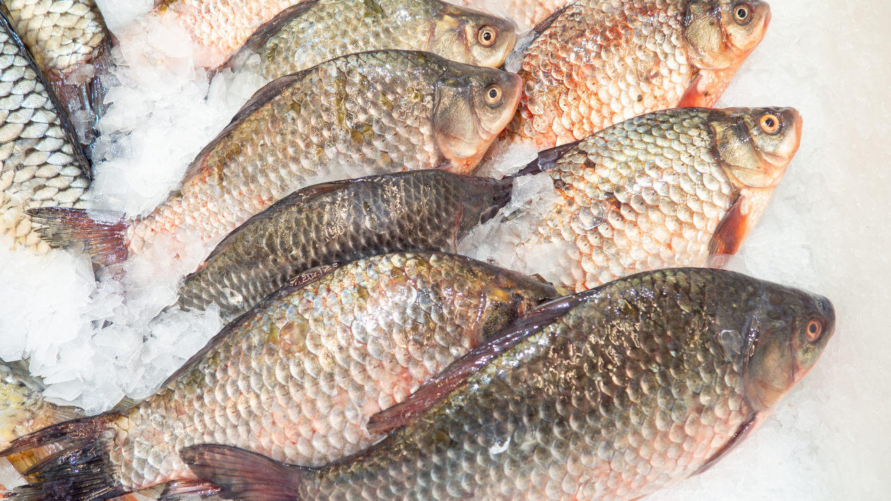 В намиращия се в съседство магазин за топла риба за