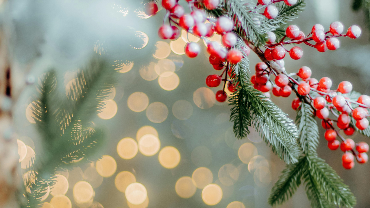 На 6 декември отново от 16:30 часа започва празничната програма