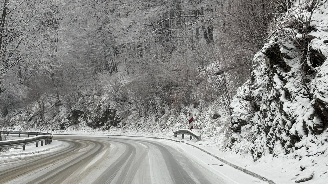 Проходът Шипка откъм северната страна е почистен и обработен срещу