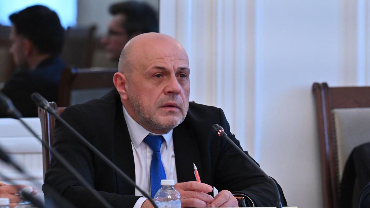 Томислав Дончев: Ще опитаме да убедим ЕК, че България не е готова за либерализация на тока
