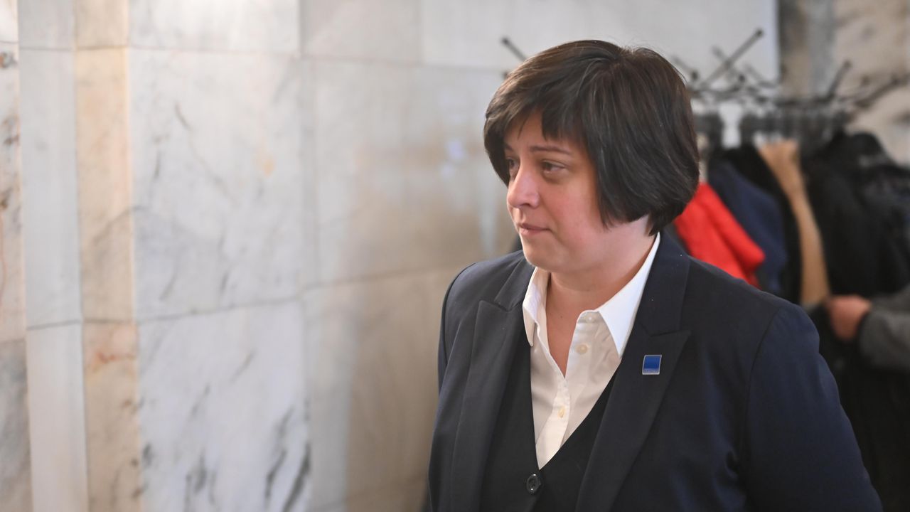 Диана Русинова: Има законови предложения, които са опасни