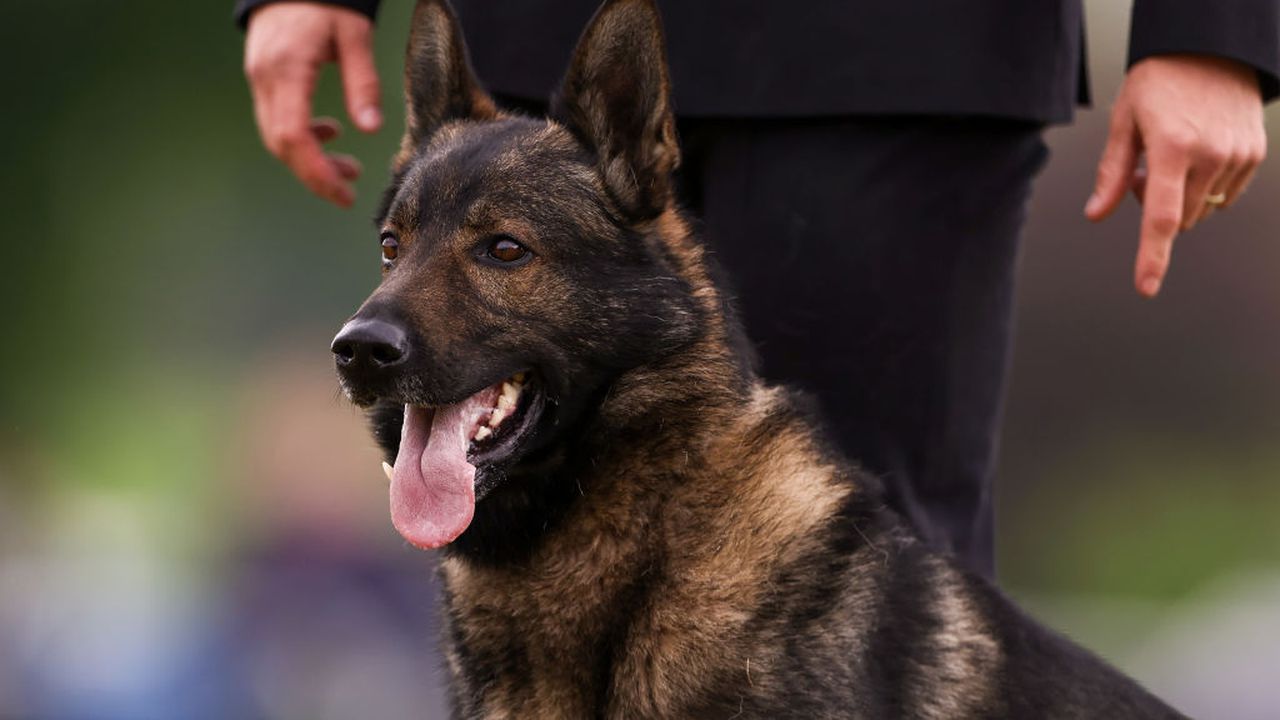 Тази сутрин продължава издирването на 20-годишната Стефани, която е забелязана