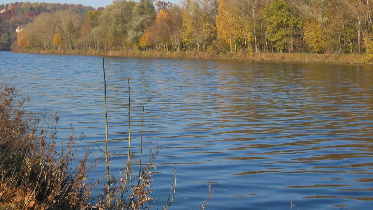 Участъци от река Дунав са с твърде ниско ниво и