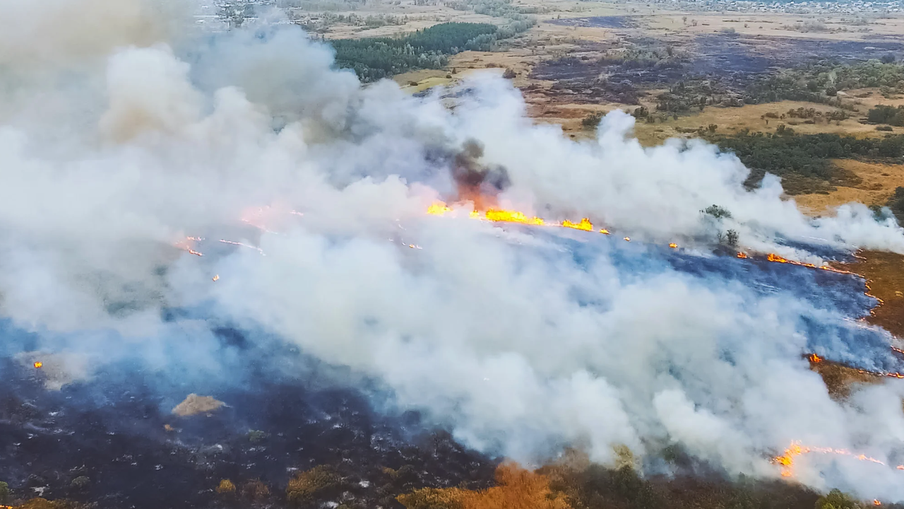 Пожарите бушуват повече от 12 часа. Проблемът е във вятъра. Той