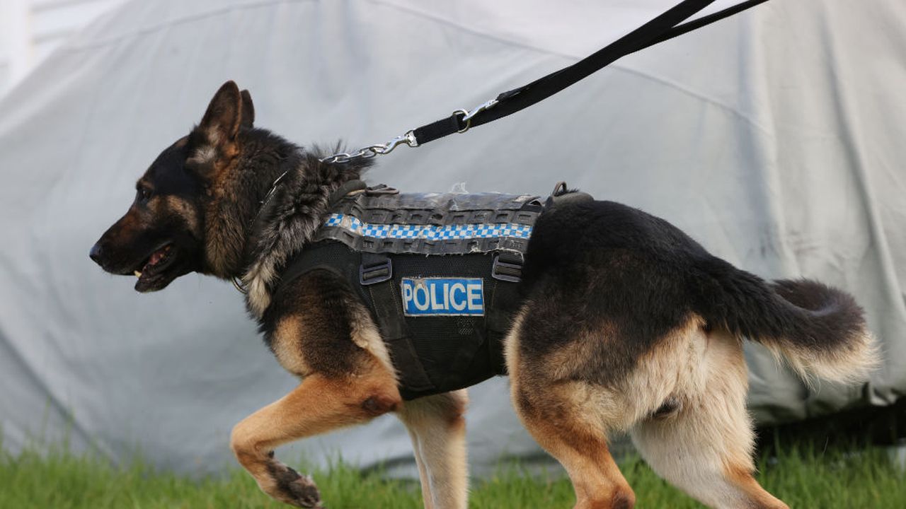 В град Гемлик, окръг Бурса се намира единственият по рода