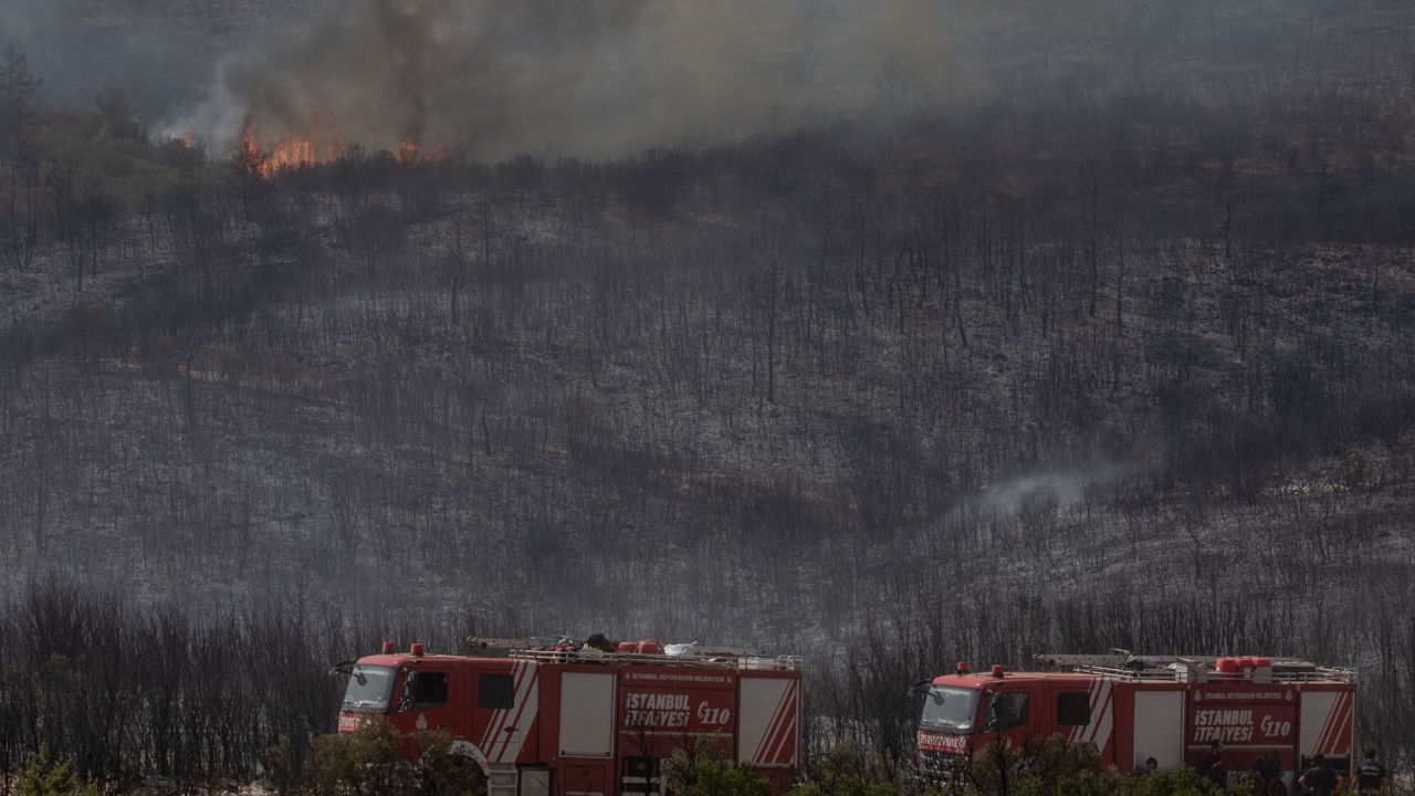 Възрастен човек, прикован на легло, е станал жертва на горския