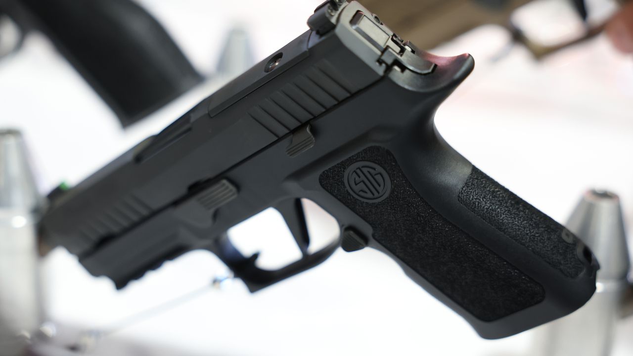 Словенците ще могат да предадат на полицията незаконното си оръжие без санкции до края на януари