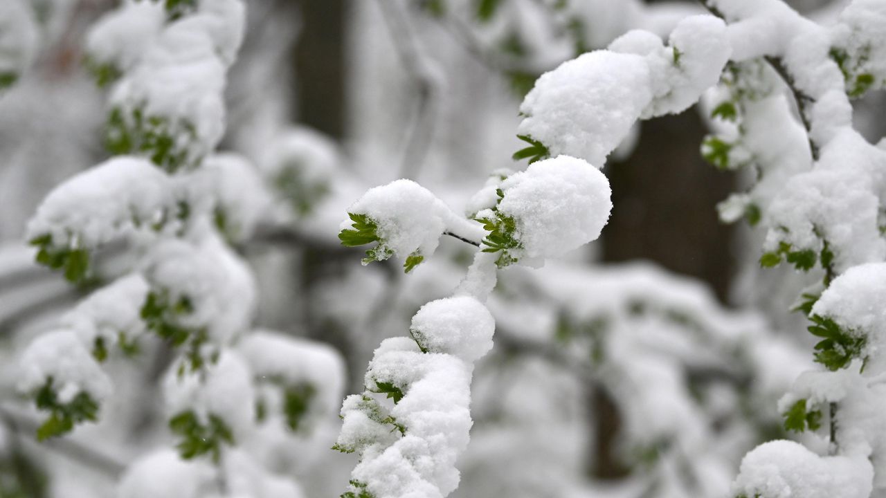 Meteo Balkans: Зимата идва на Балканите до часове!