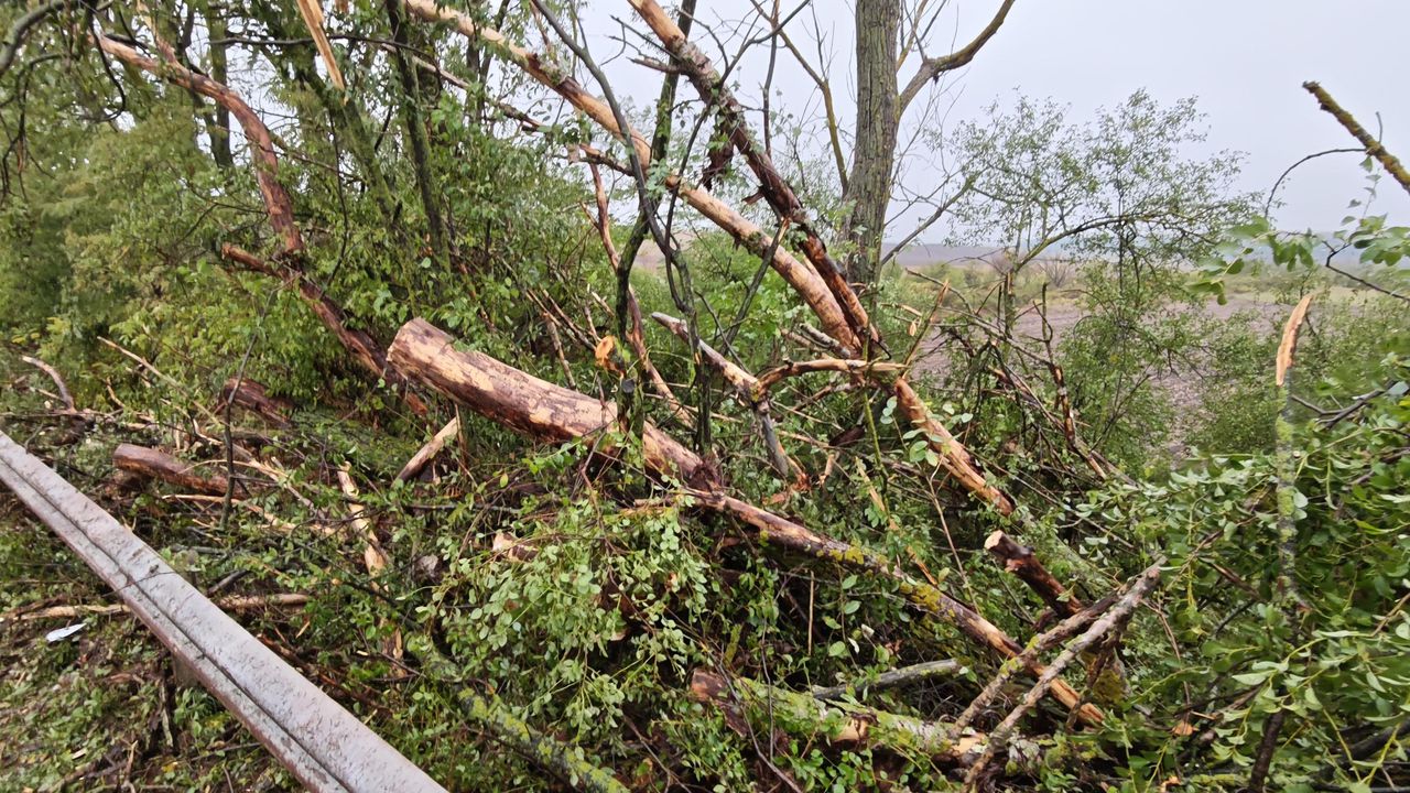 Екипи на пожарната в Перник работят по отстраняването на последиците от падналия сняг