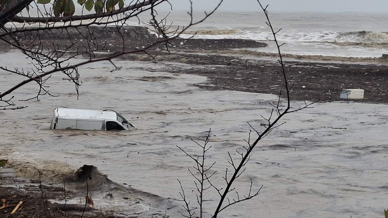 Бивш екоминистър: "Златни пясъци" и "Слънчев бряг" са застроени върху дюни, запечатани са реки