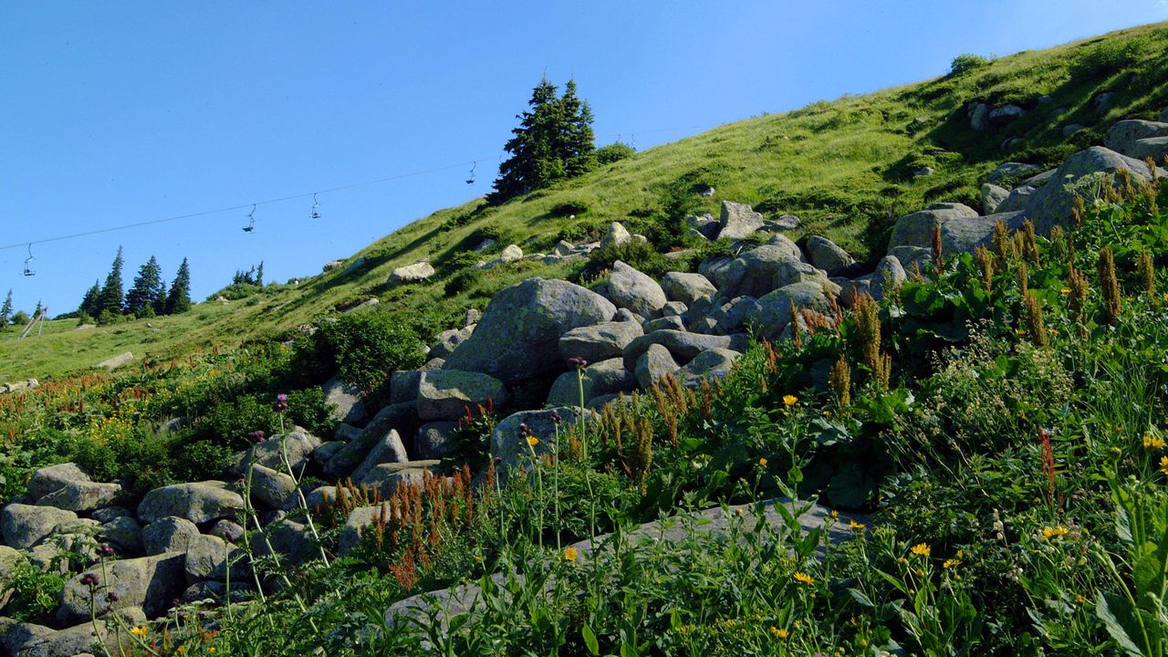 Публикуват за обществено обсъждане актуализирания План за управление на Природен парк „Витоша“