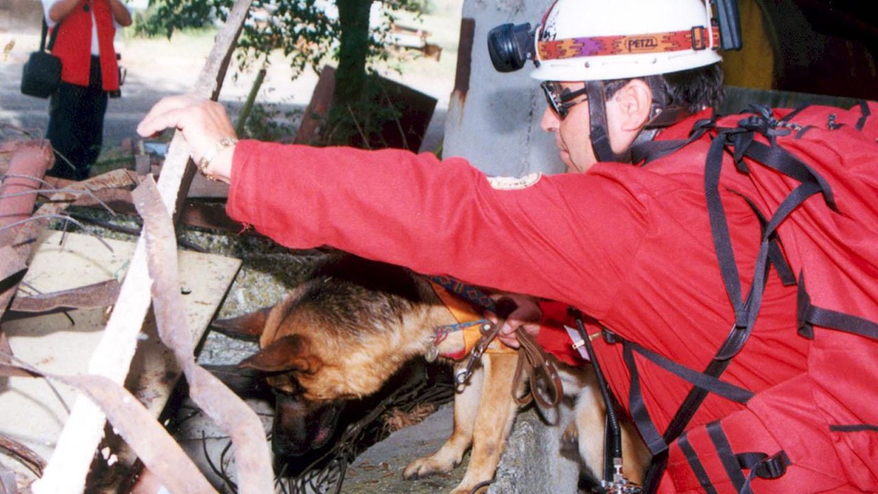 Това се е случило в района на киноцентъра Бояна“ около