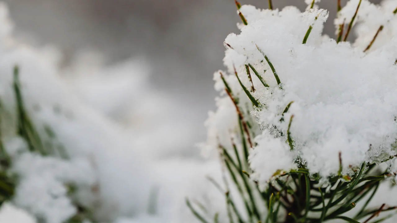 Атмосферното налягане е по-ниско от средното за месеца и ще
