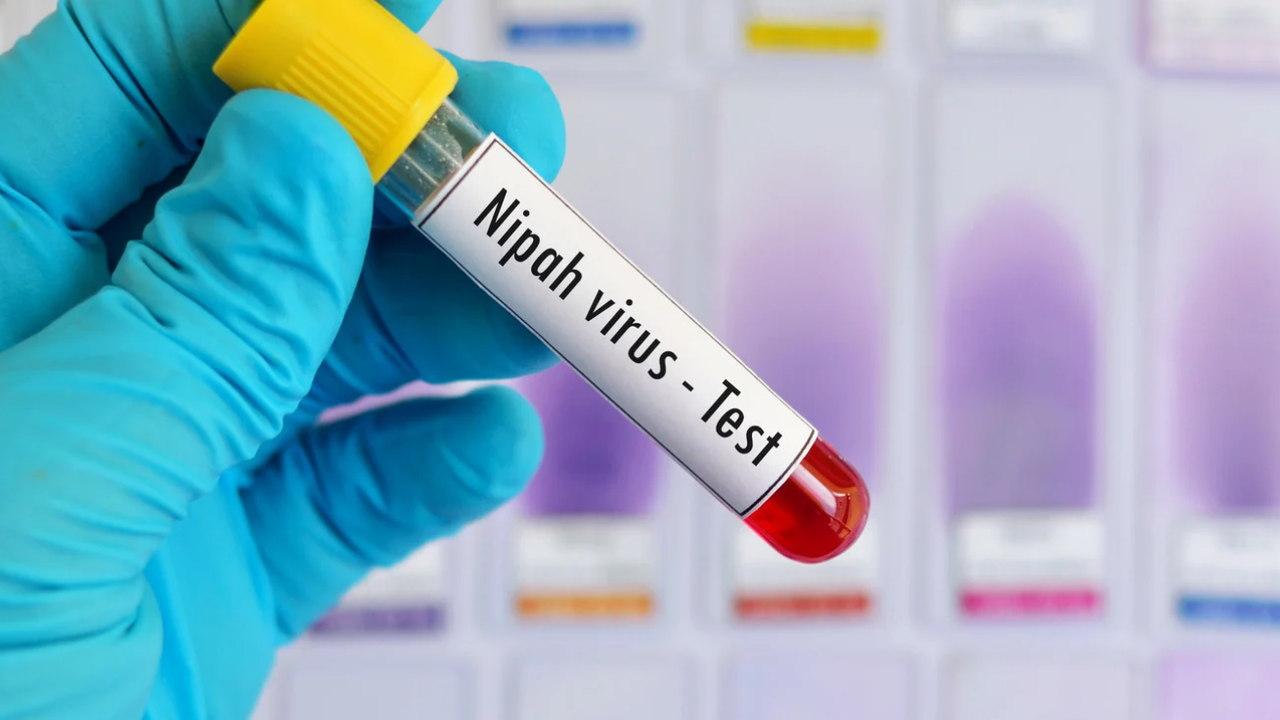 Вирусът се разпространява основно чрез прилепи – най-често чрез консумация