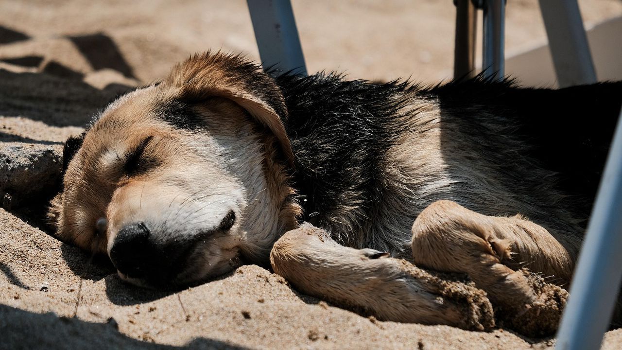 Около 22.30 часа на 2 юли мъж съобщил в РУ-Годеч,