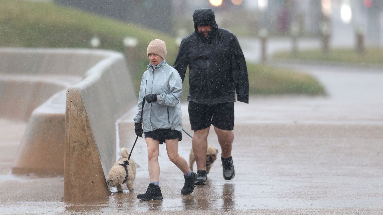 Силна буря в Северозападна Европа предизвика прекъсвания на електроподаването и повали дървета
