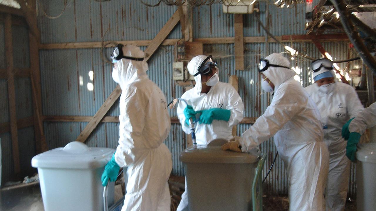Властите в Демократична република Конго обявиха ново огнище на ебола