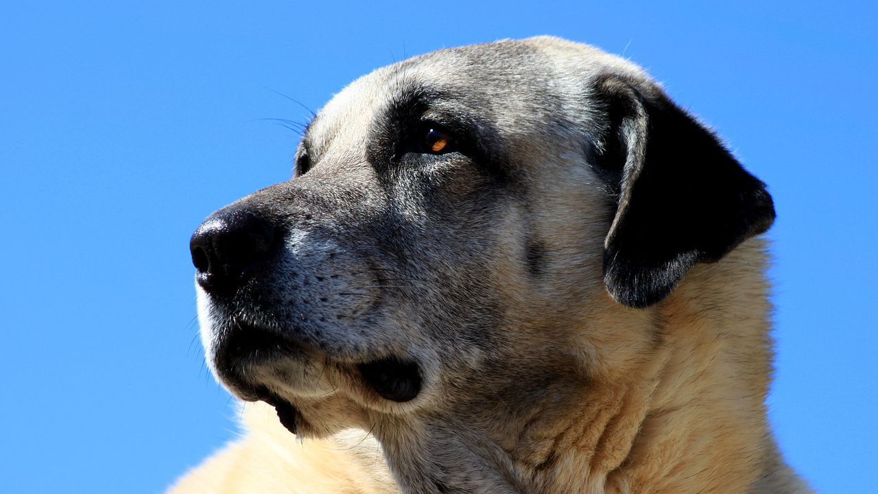 За БТА от полицията уточниха, че инцидентът е станал в