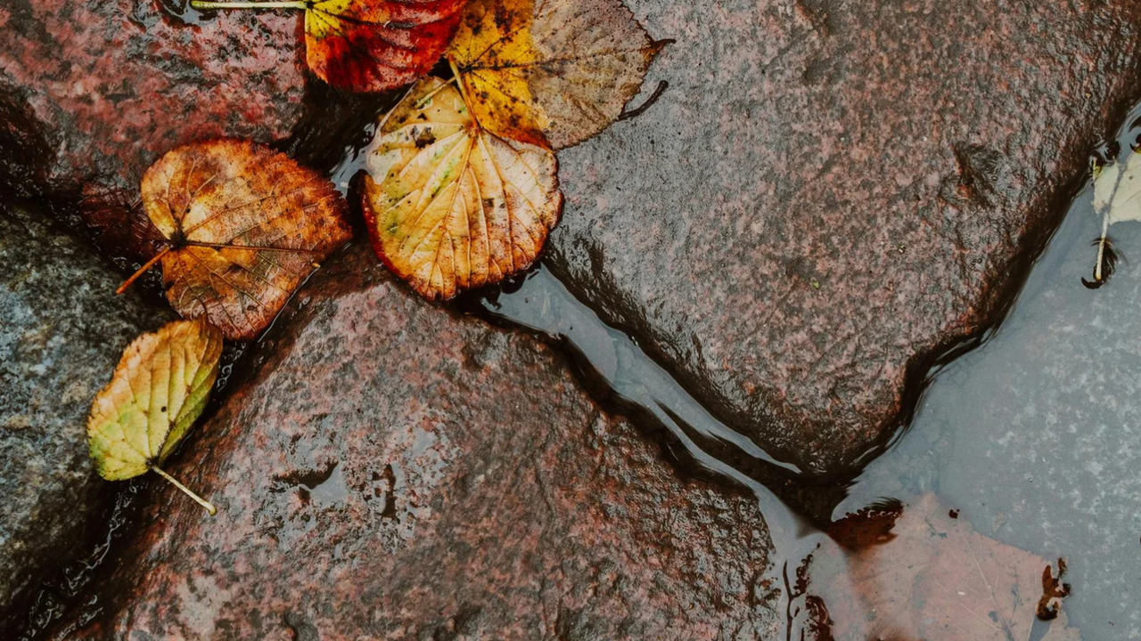 Атмосферното налягане е по-високо от средното за месеца, през деня