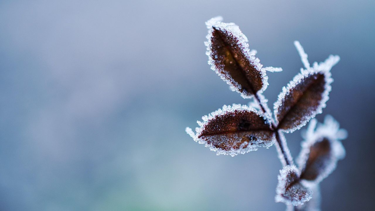 Температурите ще останат по-високи от климатичните норми. Около и след