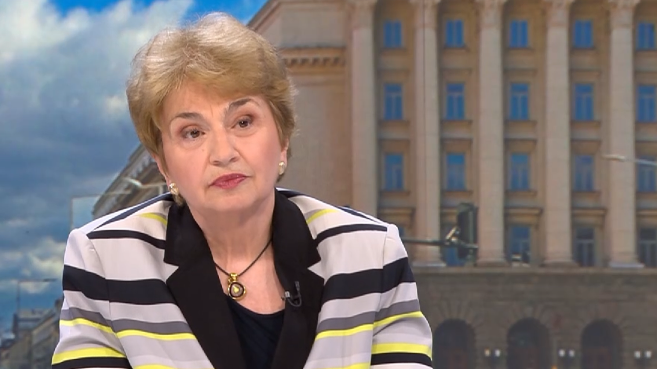 Меглена Плугчиева: В Германия нагласите към Мерц и новото правителство са противоречиви